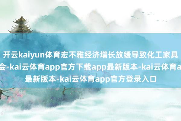 开云kaiyun体育宏不雅经济增长放缓导致化工家具的下流需求不融会-kai云体育app官方下载app最新版本-kai云体育app官方登录入口