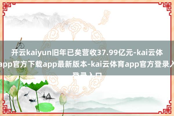 开云kaiyun旧年已矣营收37.99亿元-kai云体育app官方下载app最新版本-kai云体育app官方登录入口