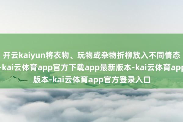 开云kaiyun将衣物、玩物或杂物折柳放入不同情态的涤纶布袋中-kai云体育app官方下载app最新版本-kai云体育app官方登录入口