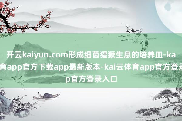开云kaiyun.com形成细菌猖獗生息的培养皿-kai云体育app官方下载app最新版本-kai云体育app官方登录入口