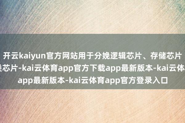 开云kaiyun官方网站用于分娩逻辑芯片、存储芯片、模拟芯片和其他类芯片-kai云体育app官方下载app最新版本-kai云体育app官方登录入口